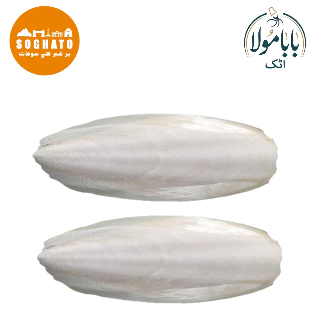 Cuttlefish Bone  – سمندری جھاگ
