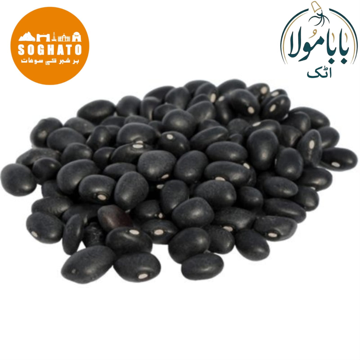 Chaksu Seeds  – چاکسو