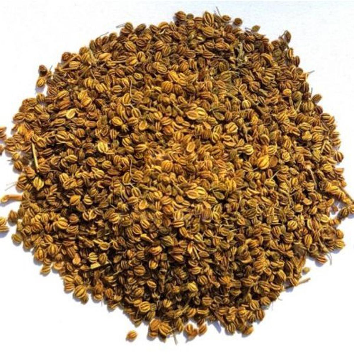 Ajwain Khurasani اجوائن خراسانی