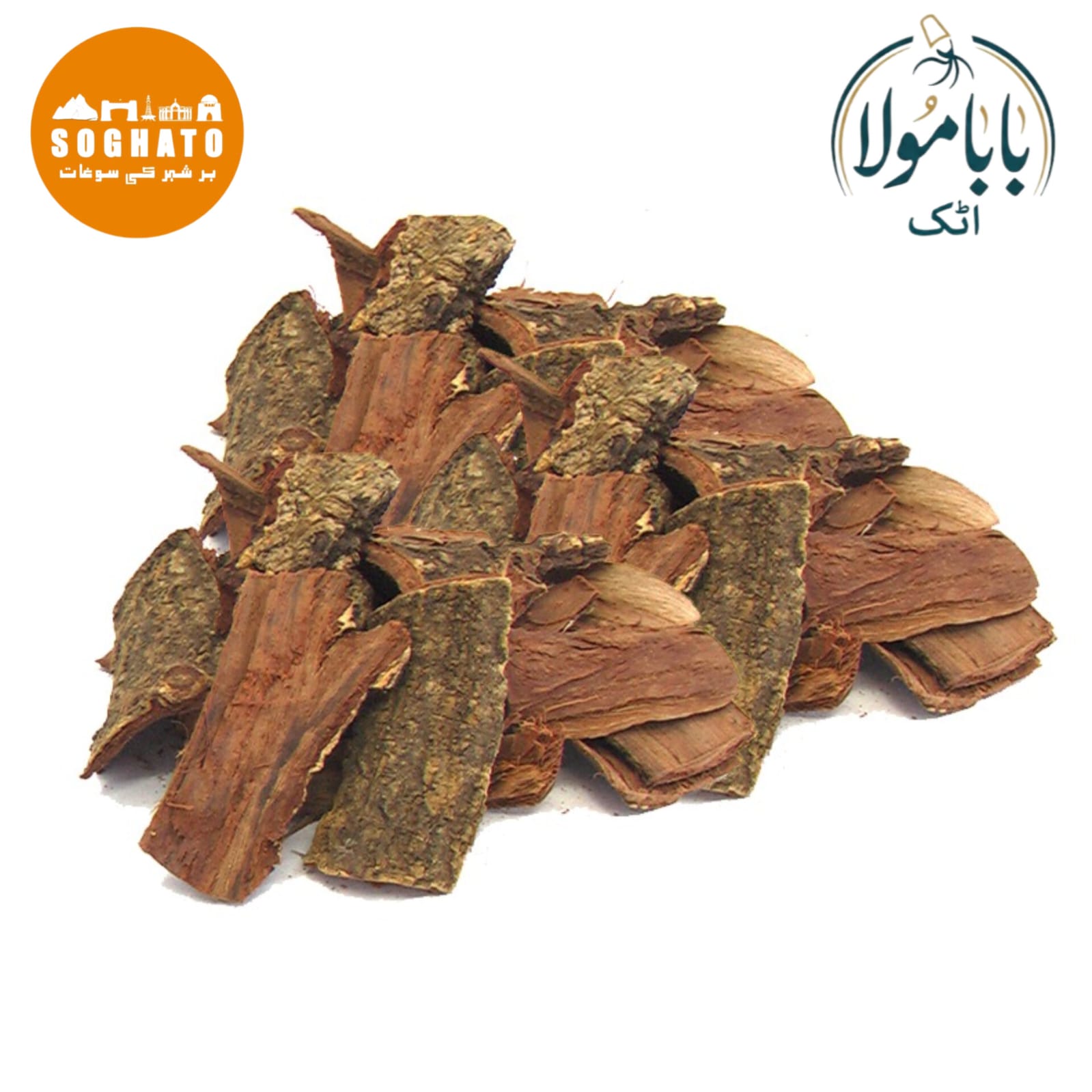 Australian Pine Tree Fruit (Mae Khurdo)  also known as Whistling Pine, Ironwood, Beefwood  Scientific Name: Casuarina equisetifolia  مائیں خوردو جھاؤ