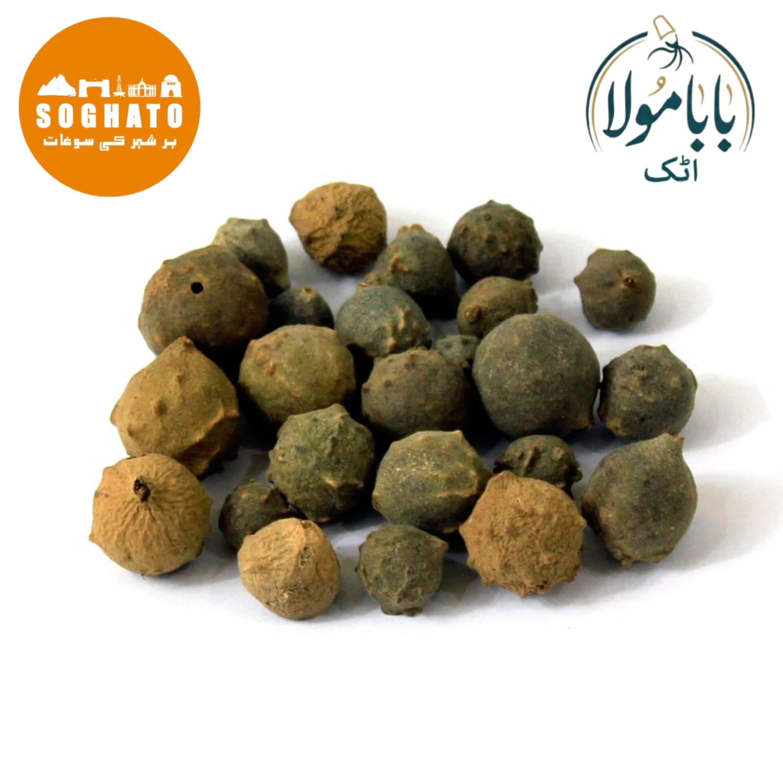 Aleppo Oak (Mazu Sabz) also known as Oak Galls Scientific Name: Quercus infectoria Olivier مازو سبز