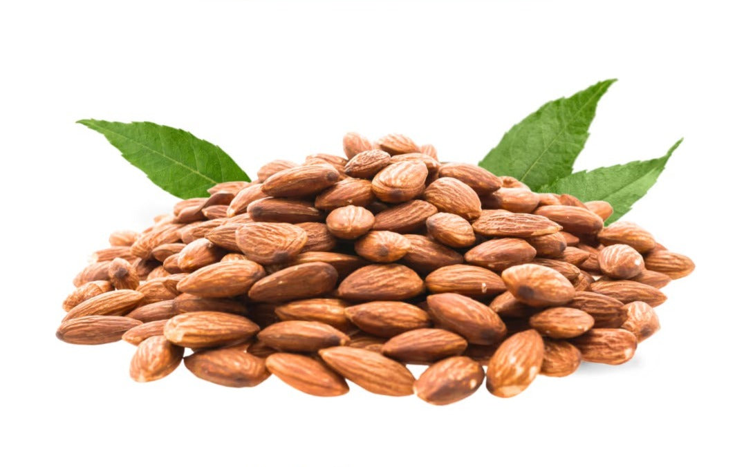 Almond (Sonara)