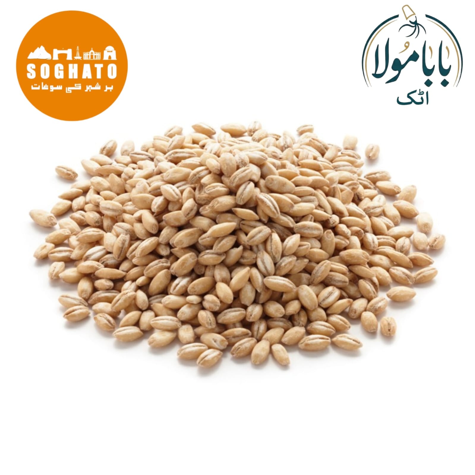 Barley (Joo) also known as Pearl Barley, Hulled Barley Scientific Name: Hordeum Vulgare جو