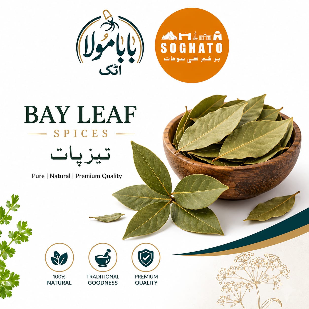 Bay Leaf -  تیز پات
