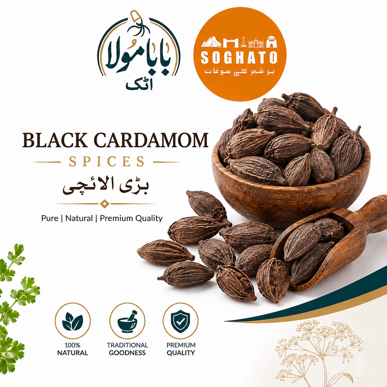 Black Cardamom- بڑی الائچی