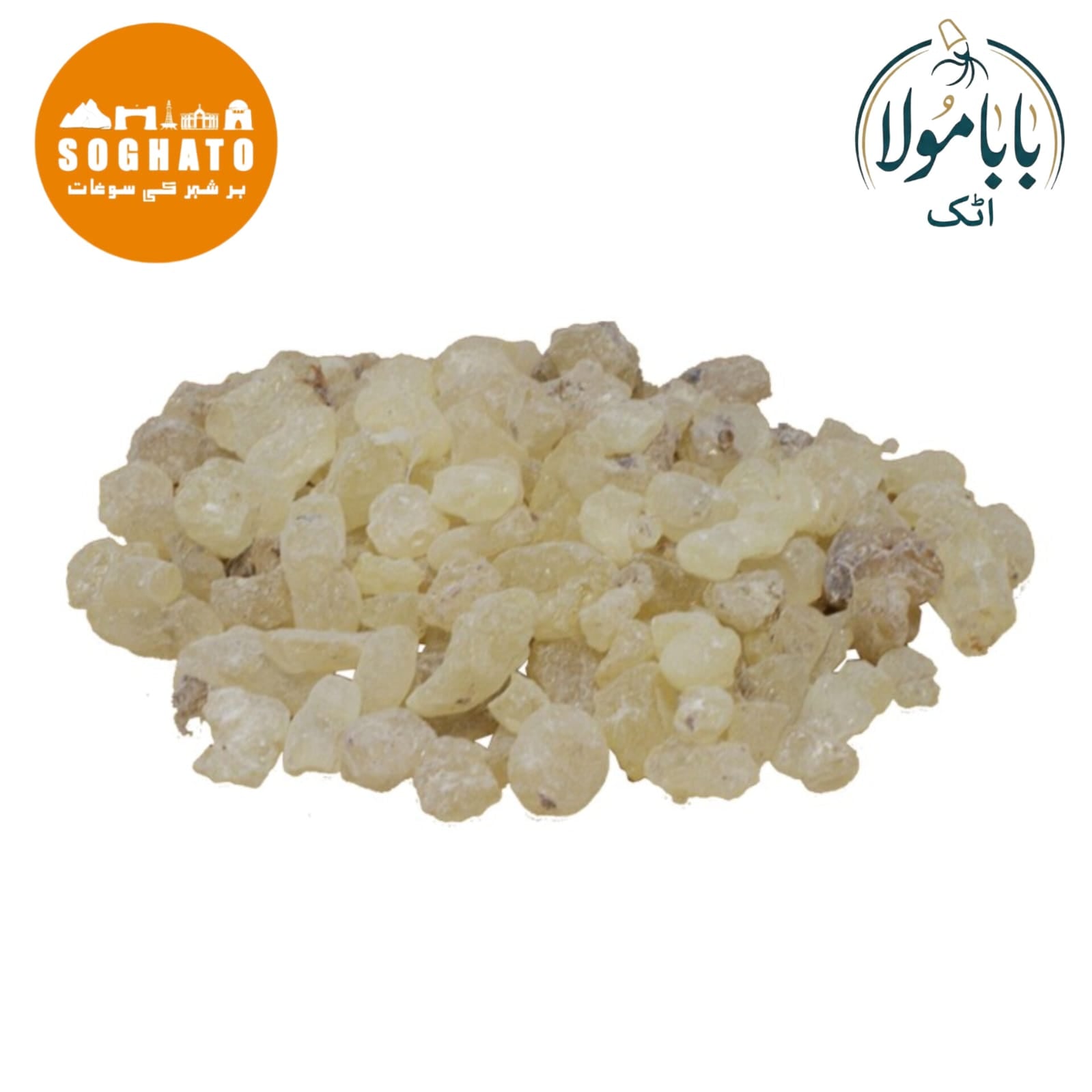 Black Dammar (Chandras) also known as Sanders Scientific Name: Canarium Strictum Roxb. چندرس سندرس، کندرو، سندوس