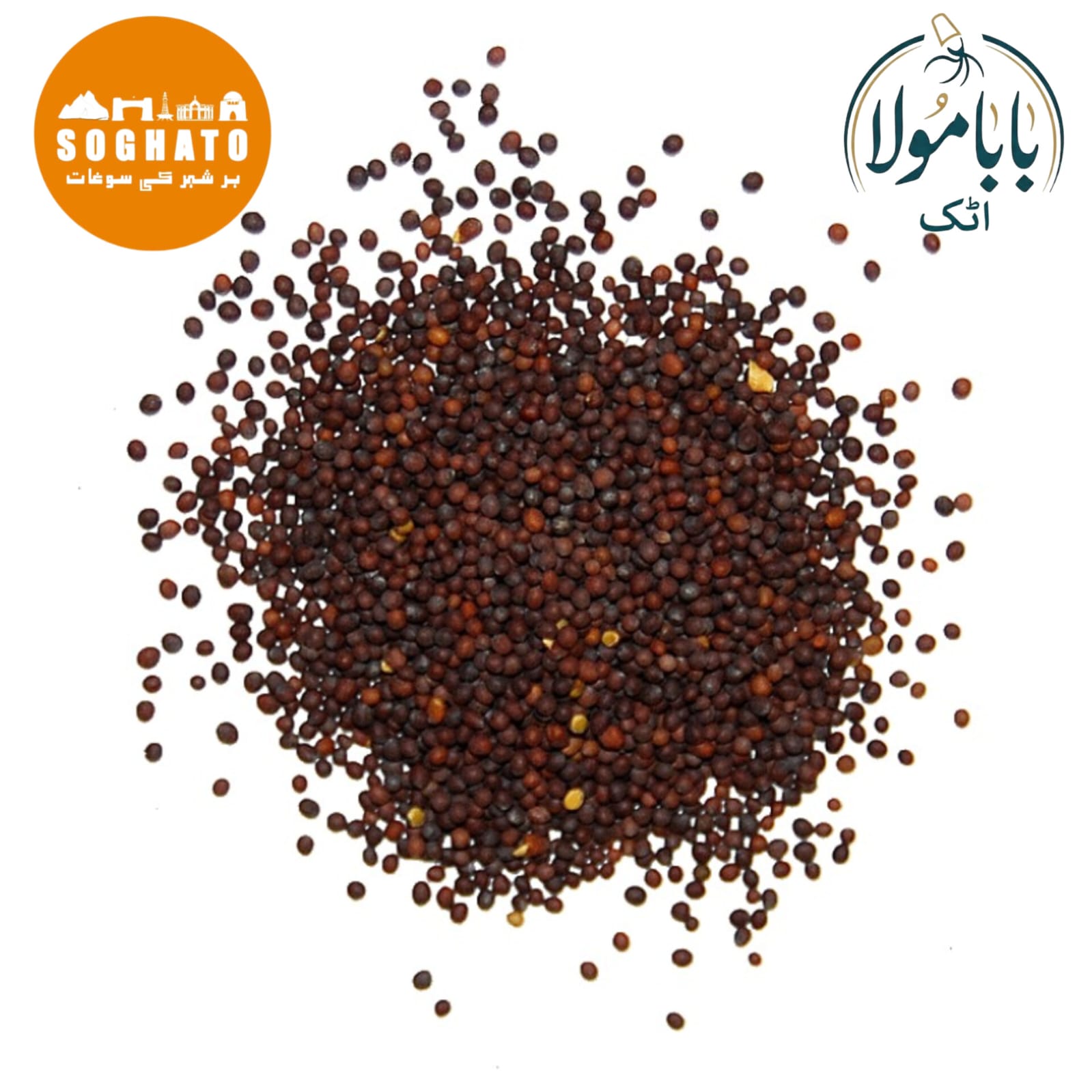 Brown Mustard (Sarson Zard)  Also Known As: Indian Mustard, Mustard Seeds Botanical Name: Brassica juncea Urdu Name: سرسوں زرد، لال سرسوں