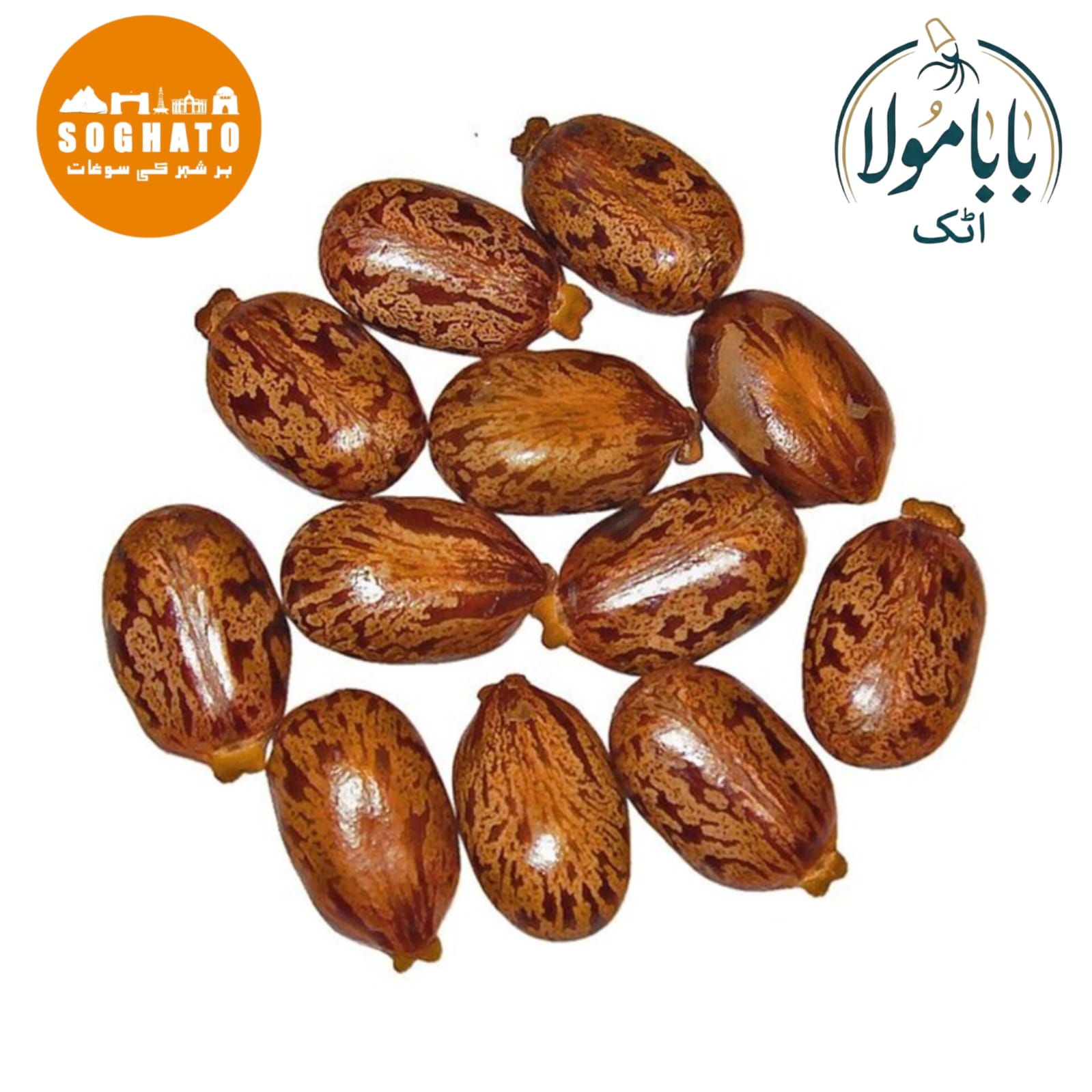 Castor Bean (Tukhm-e-Arandi)  Also Known As: Castor Seed Botanical Name: Ricinus communis Urdu Name: تخم ارنڈی