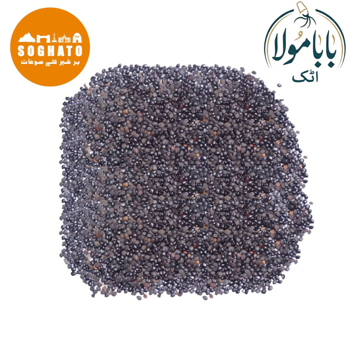 Chaksu Seeds  – چاکسو