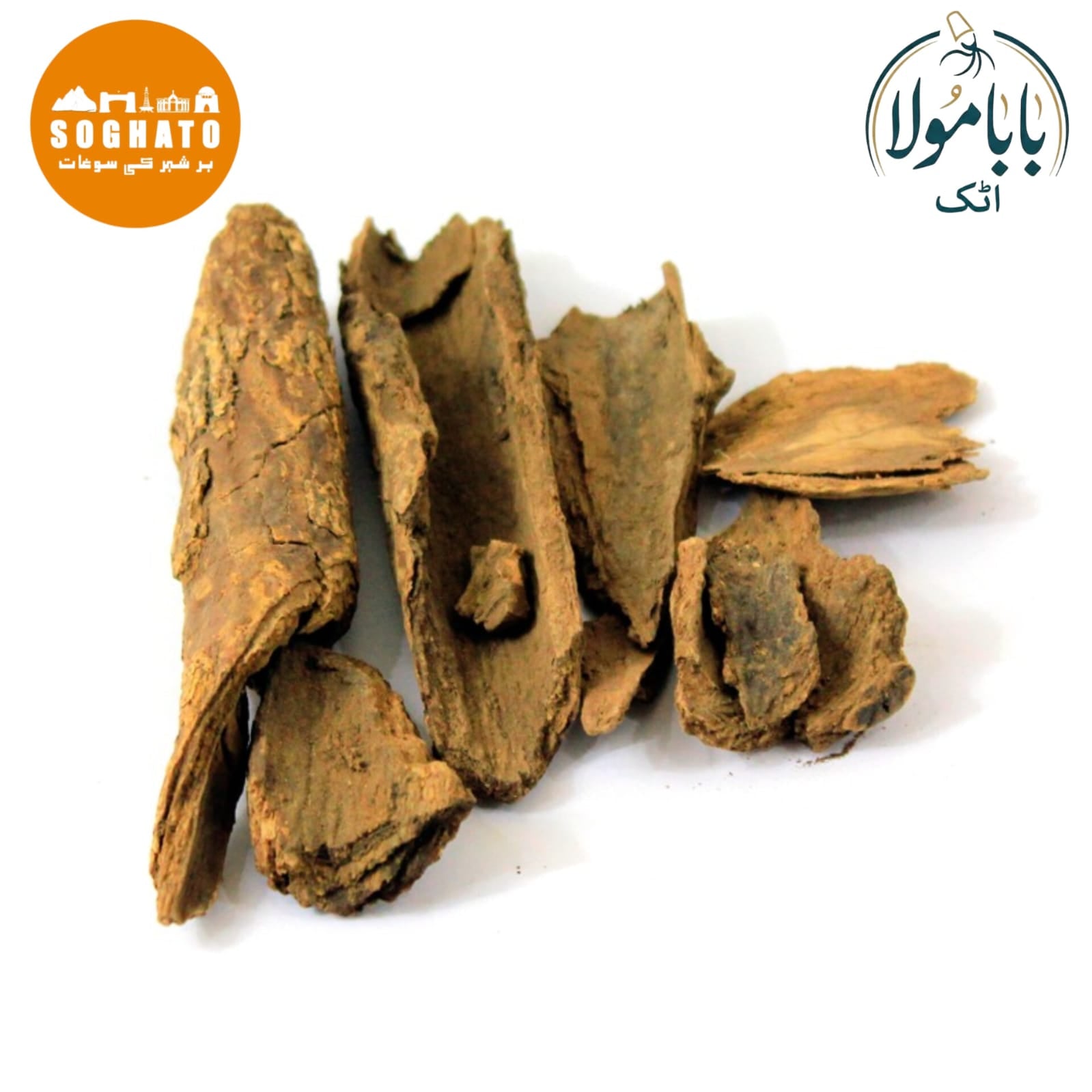 Common Tallow Laurel  – مایدہ لکڑی