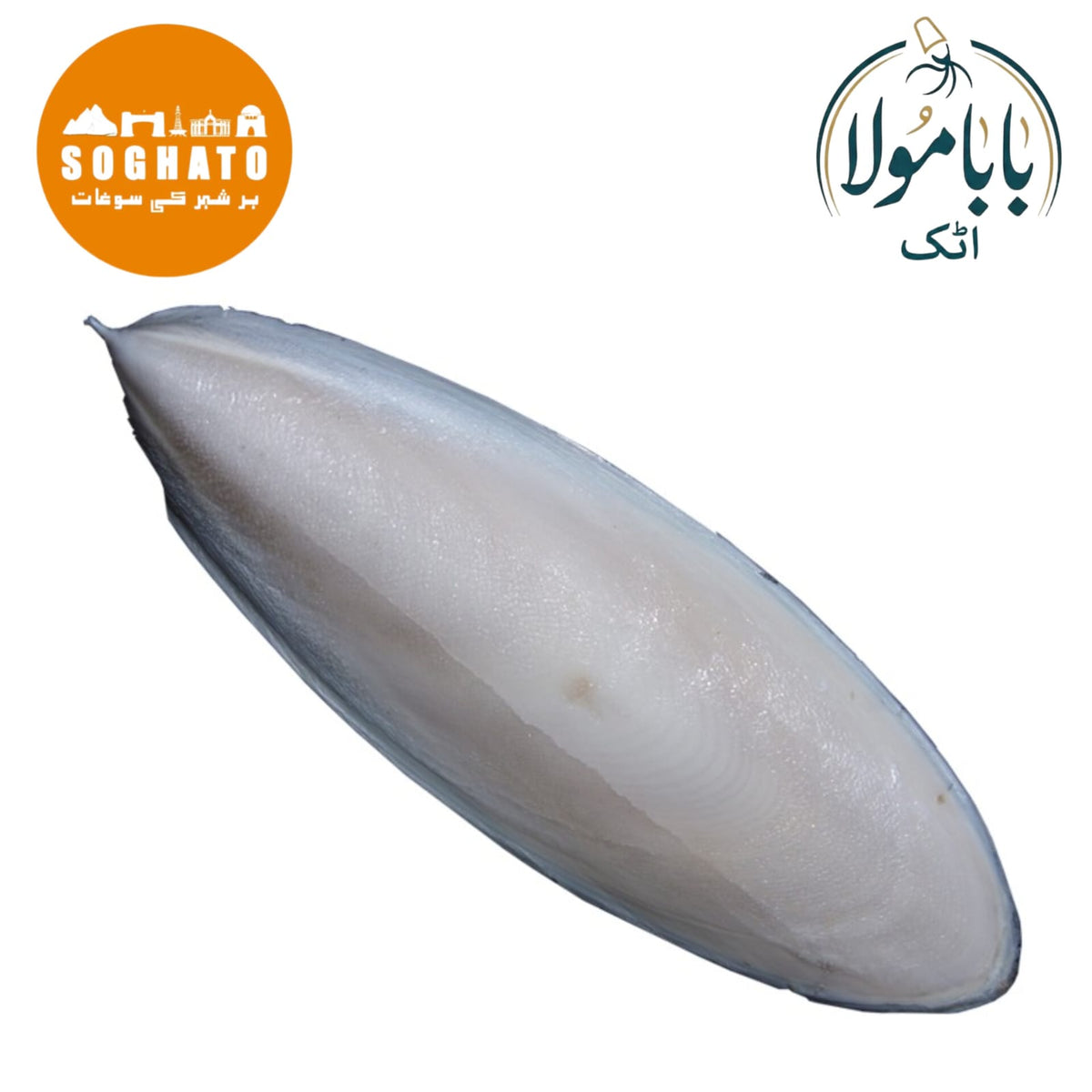 Cuttlefish Bone  – سمندری جھاگ