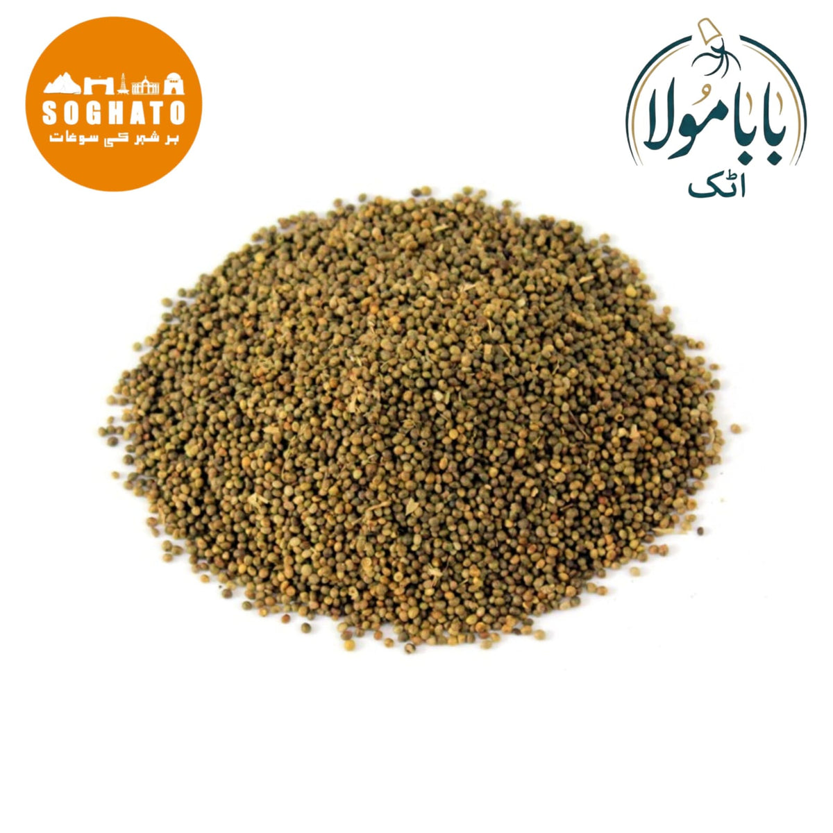 Madras Leaf Flower Seeds – تخم کنوچہ