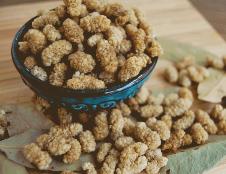MULBERRY (SHAHTOOTH)