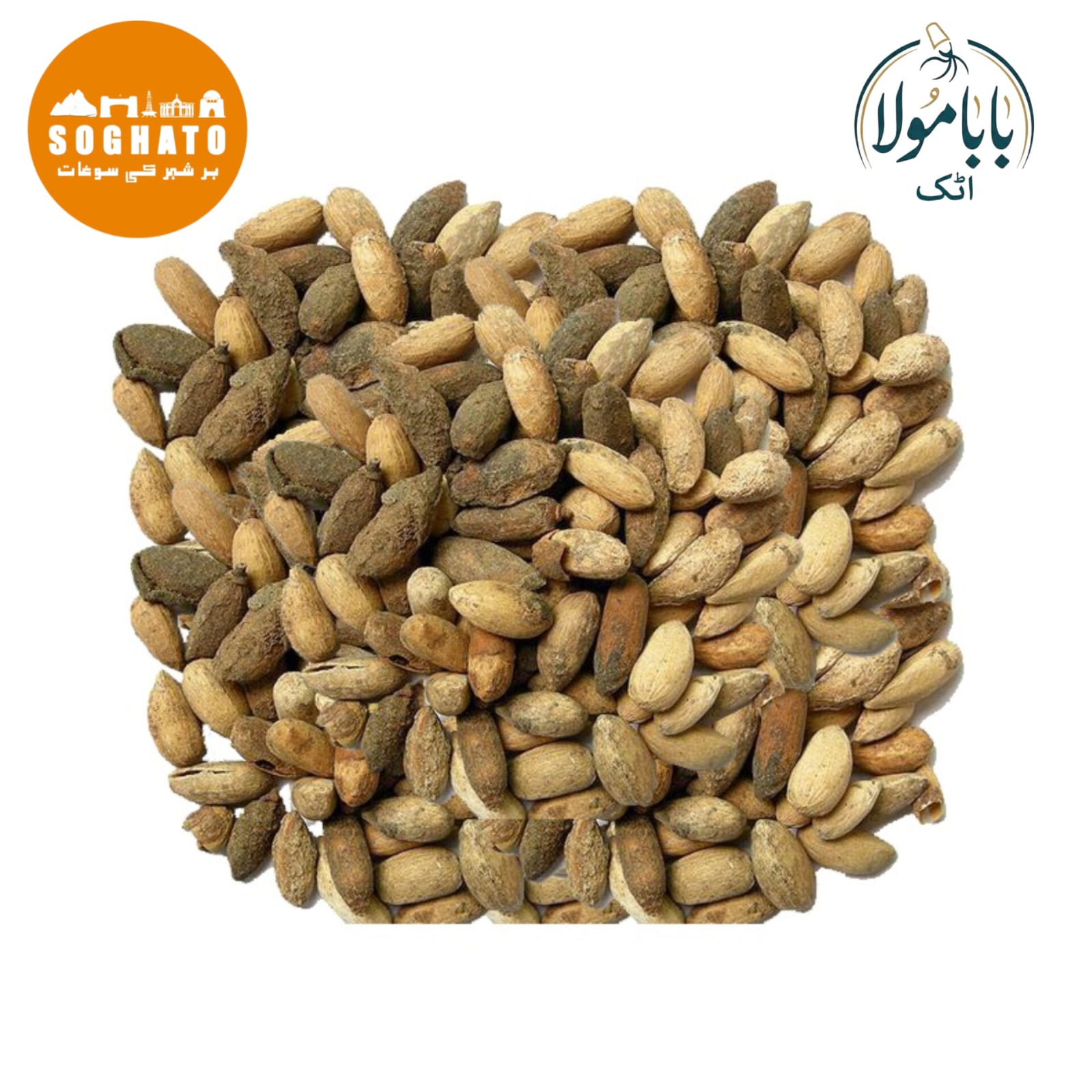 Neem Seeds – تخمِ نیم