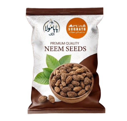 Neem Seeds – نیم کے بیج