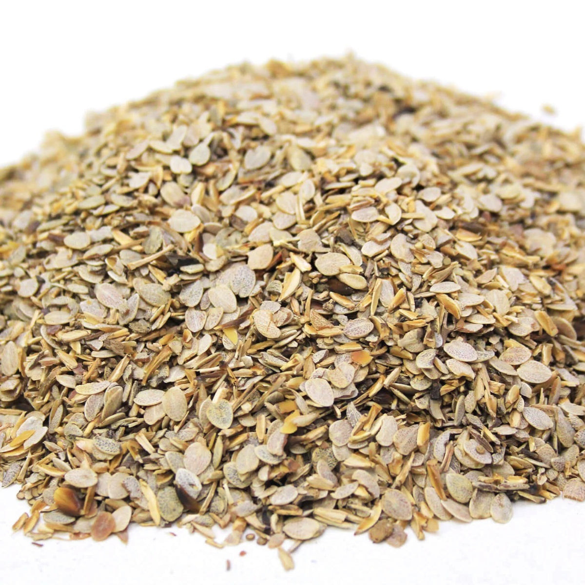 Blepharis Edulis ( Tukhm e Otangan ) تخم اوٹنگن