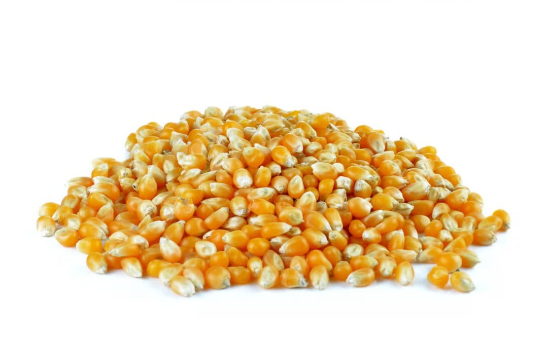 Popcorn Kernels