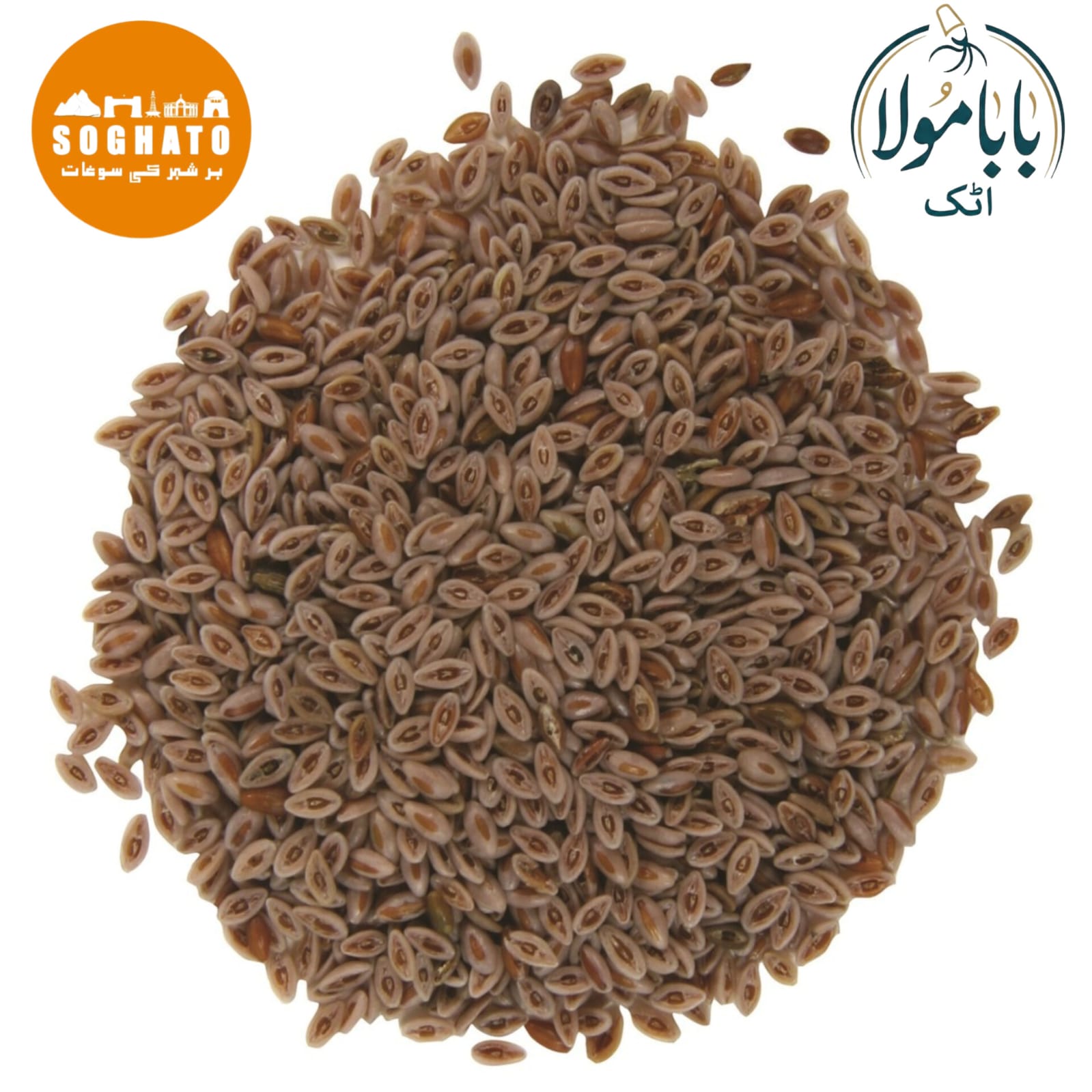 Psyllium Seed Husk  – اسپغول مسلم