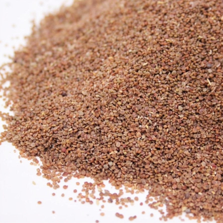 Hoary Stock Seeds – تخم تودری سفید