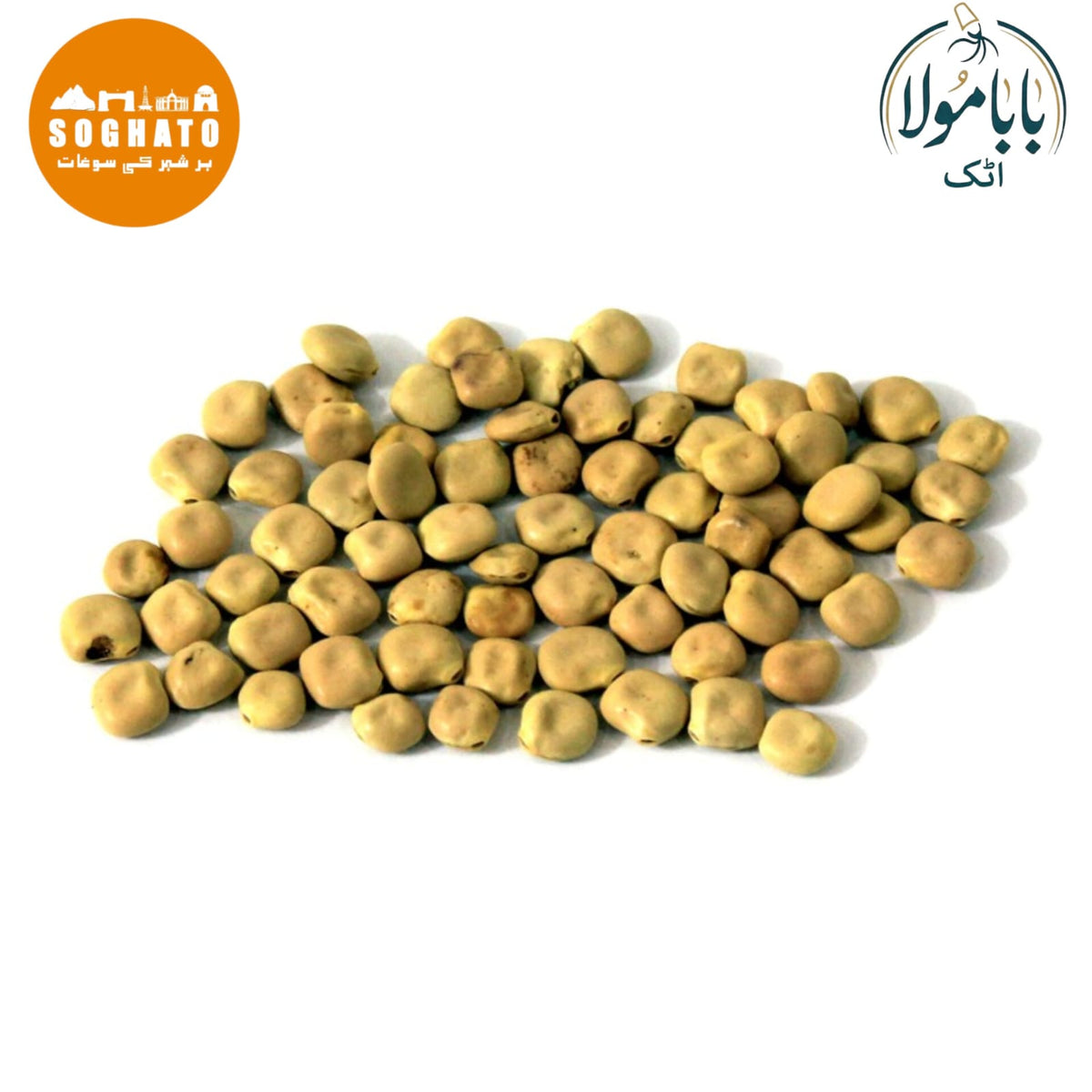 White Lupin  – ترمس سفید