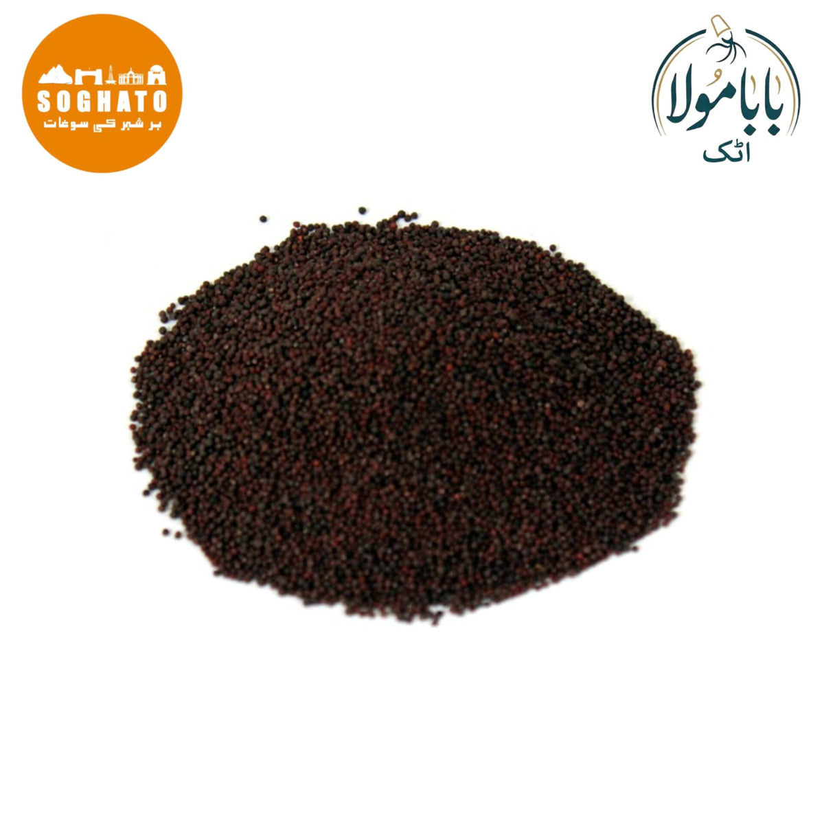 Turnip Seeds – تخم شلجم