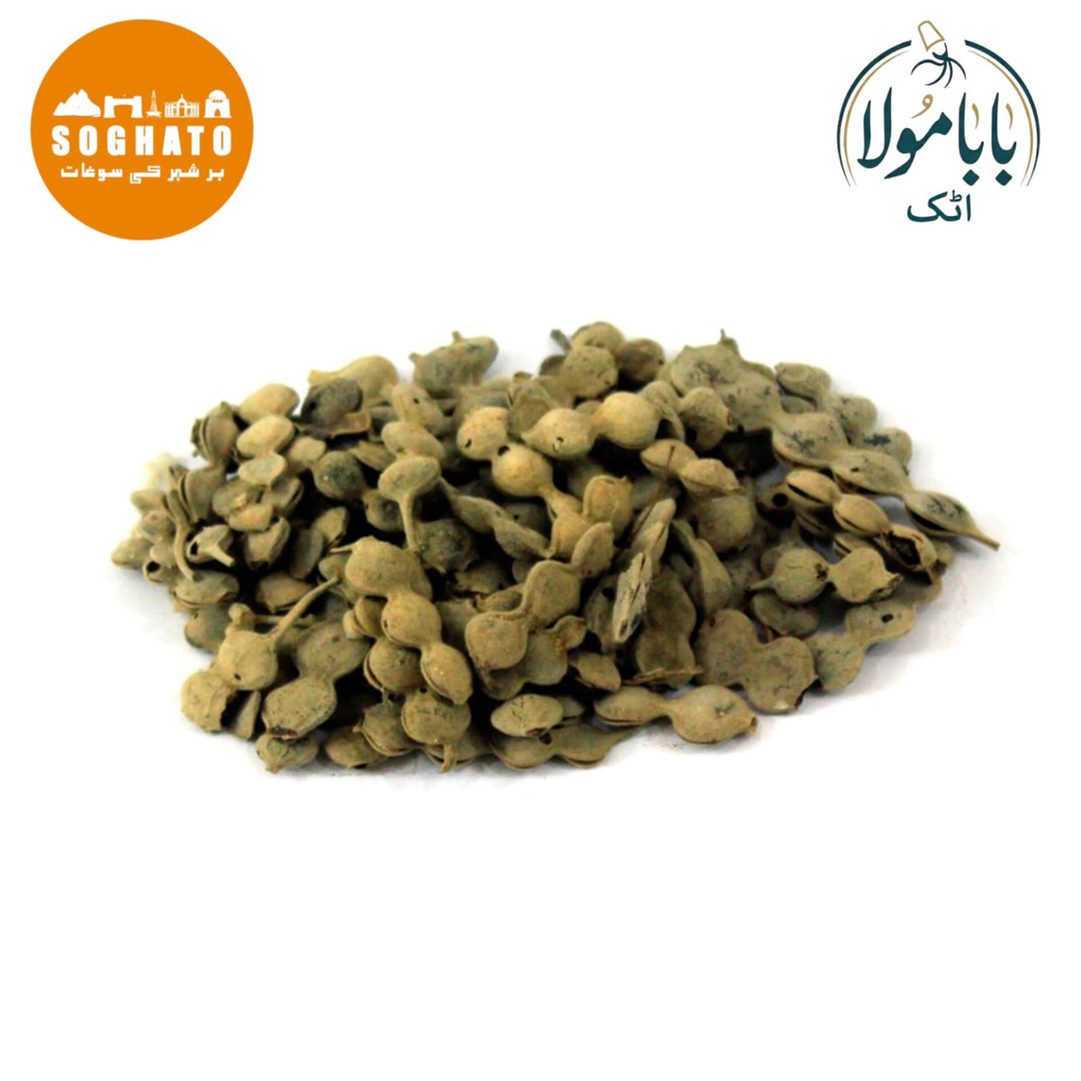 Sweet Thorn – پھلی ببول