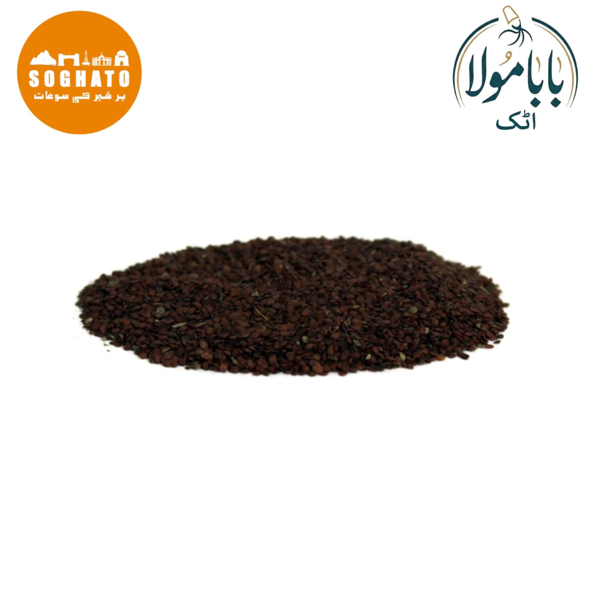 Shame Plant – لاجوانتی باریک