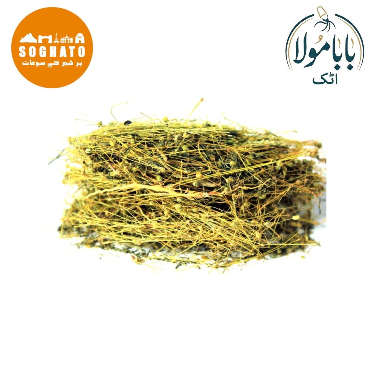 Phyllanthus – ہزار دانہ