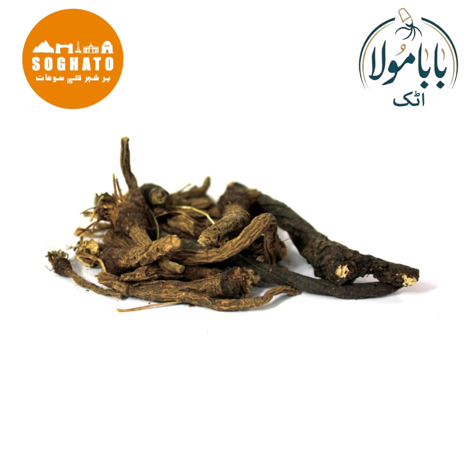 Pellitory Root – عقرقرحا