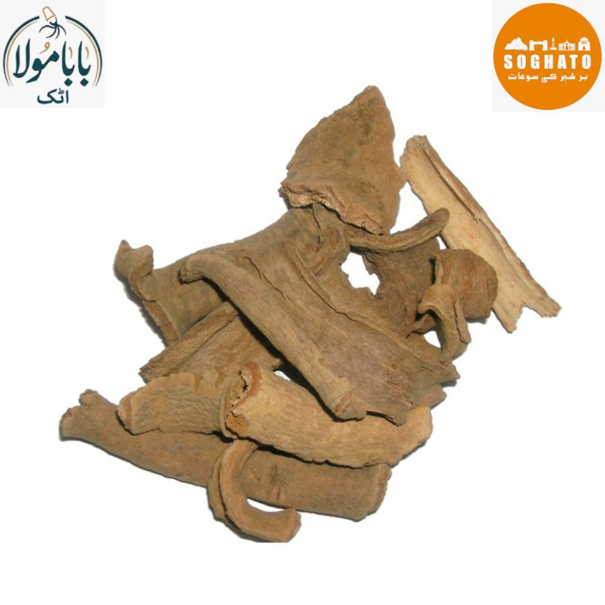 Lodh Tree – لودھ پٹھانی