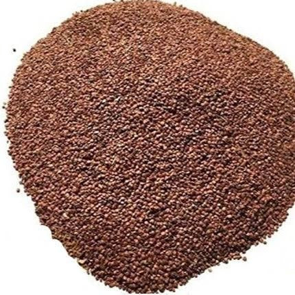 (Lajwanti) لاجونتی