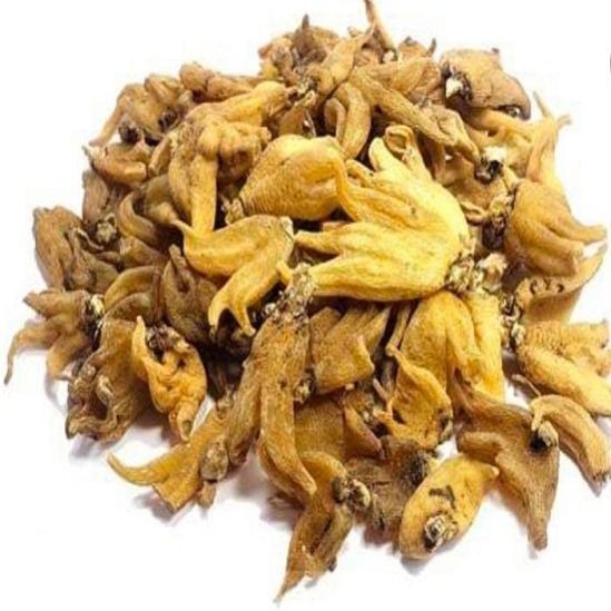(Salab Panja) ثعلب پنجہ