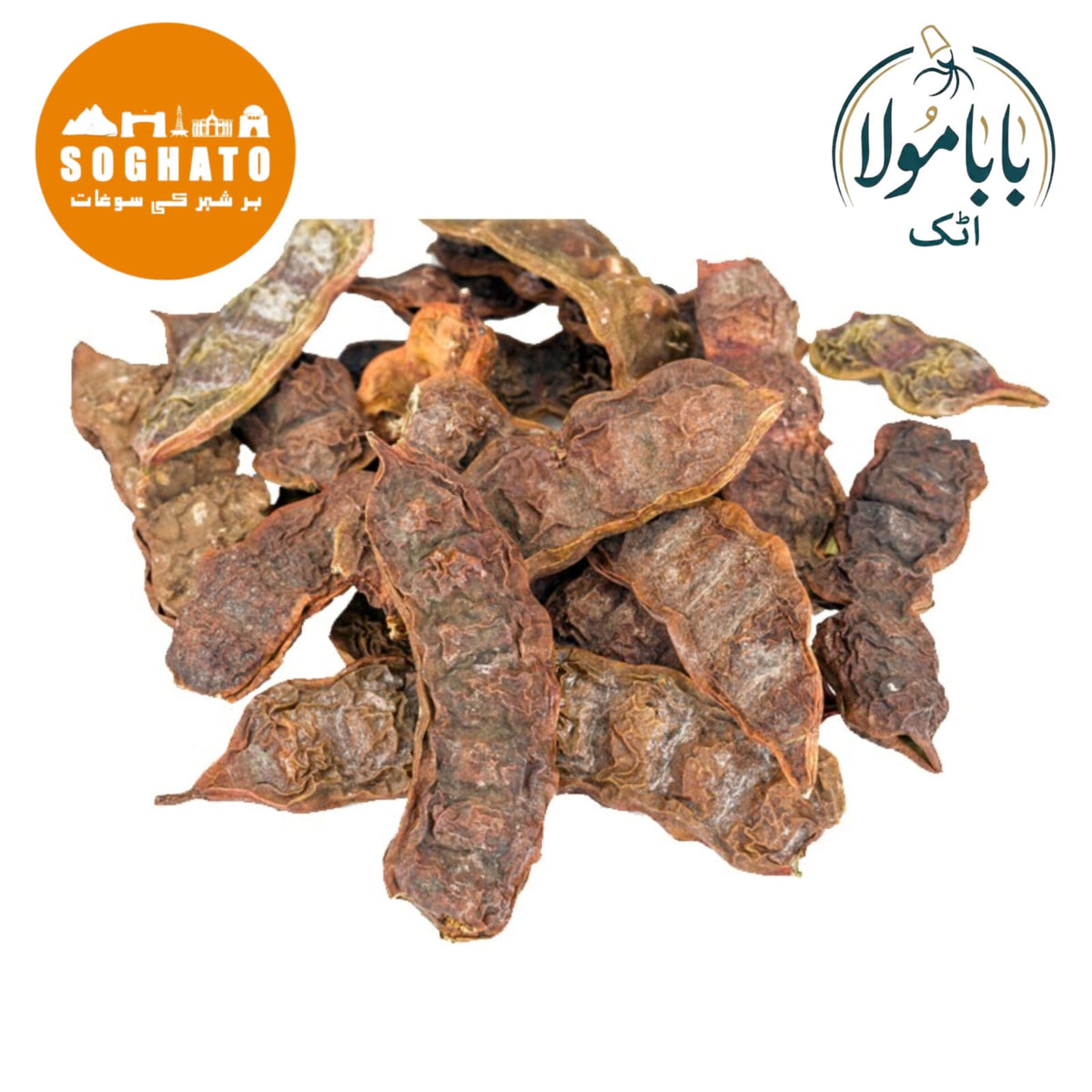 Soap Pod Wattle – سکاکائی