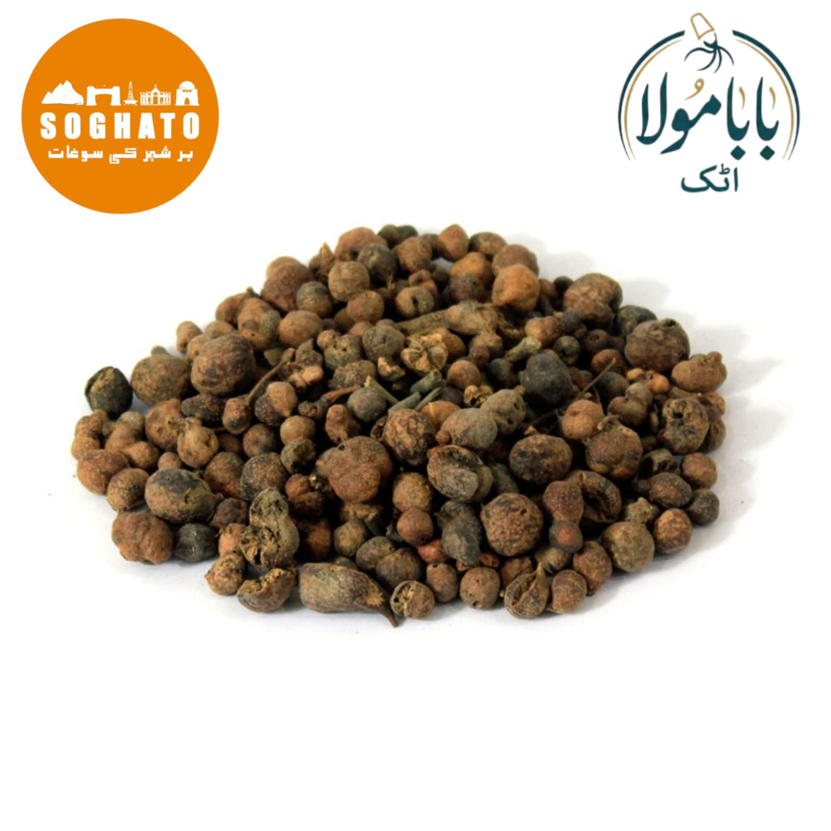Australian Pine Tree Fruit – مائیں خوردو