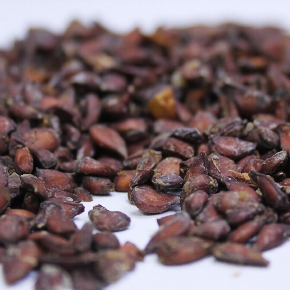 Bahi Dana | Quince Seeds | – بہی دانہ
