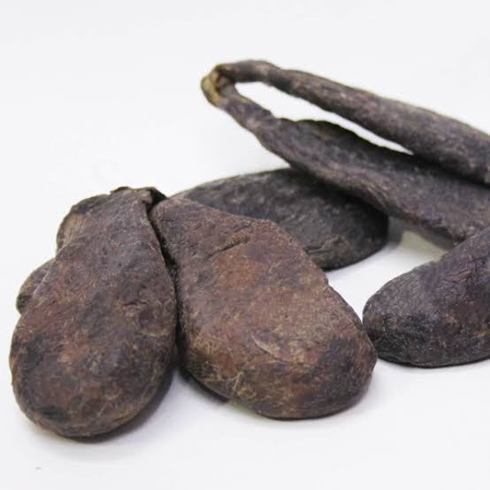 Castoreum (Jund Badastar) جند بدستر