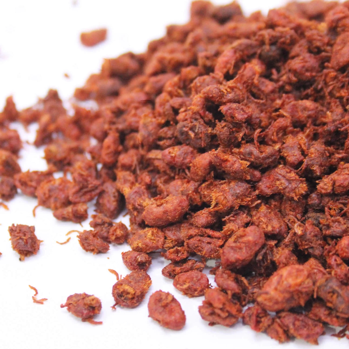 Red Velvet Mite (Beer Boti) بیربوٹی/ چیچک بوٹی