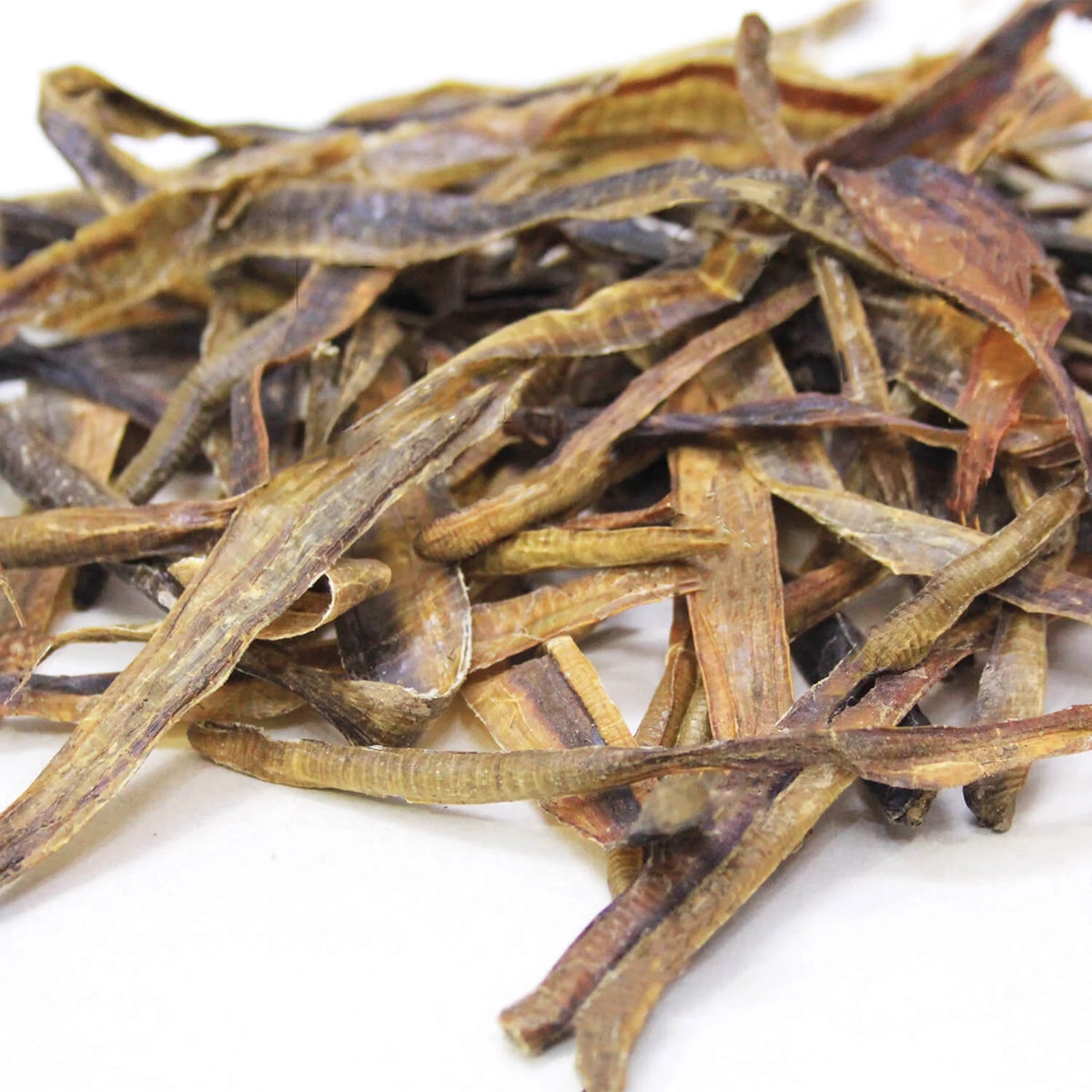 Dried Earthworm (Kharateen) خراطین