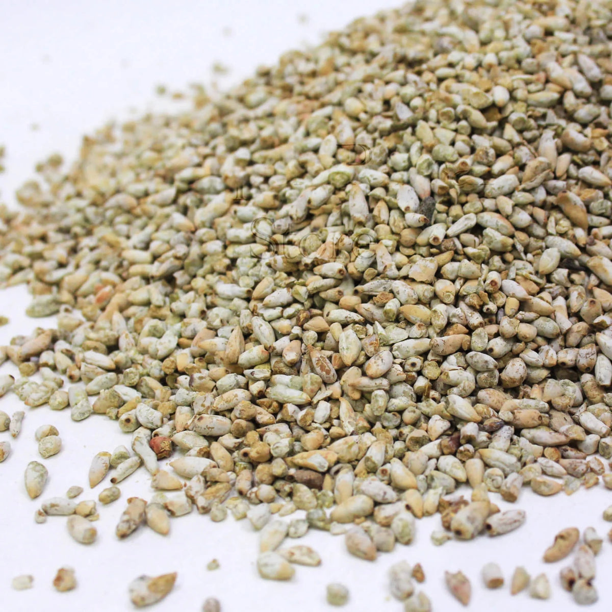 Cotton Seeds  (مغز بنولہ - پنبہ دانہ - مغز کپاس)